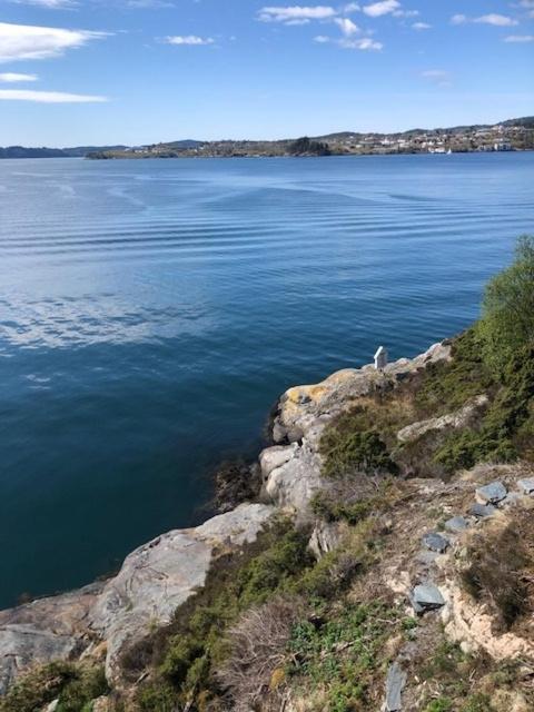 Koselig Nyoppusset 3 Roms Leilighet Med Egen Parkeringsplass I Rolige Omgivelse Naer Sjoen, 2 Mil Nord For Bergen Sentrum. Extérieur photo